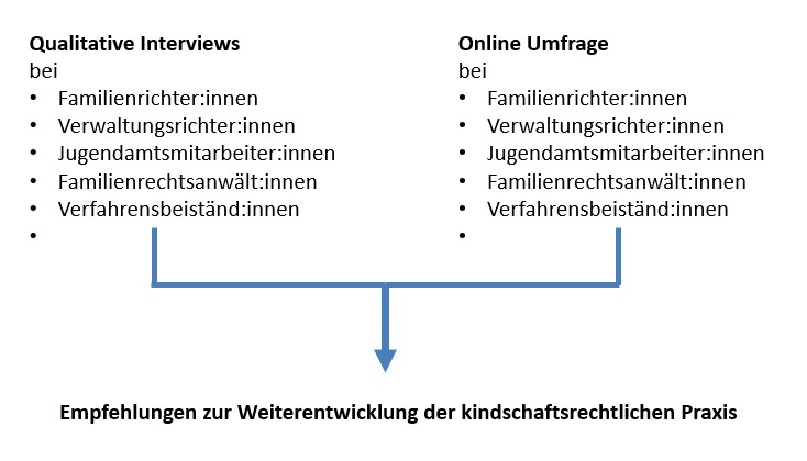 ein Schaubild zum Projektablauf